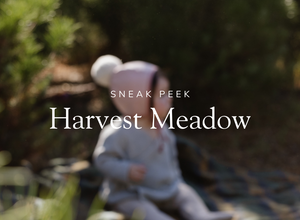 Sneak Peek: The Harvest Meadow Collection
